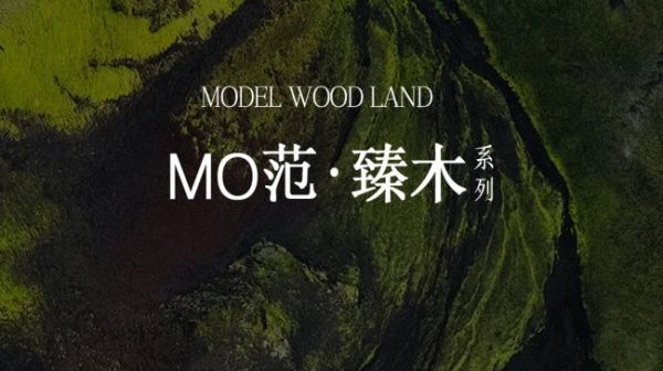 QD瓷砖MO范·臻木，沉浸式的木纹赞歌