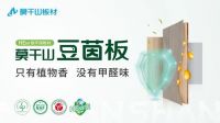 暑假宅家模式开启！母婴级环保板材，给孩子一整个安心暑假