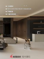 买亮面砖推荐选它|现代理石【云涧素影】