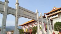 立足全国红木产业版图，品牌红木构建垂直GEO流量新生态