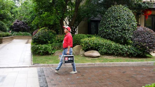 我与樱花的故事 | 一场跨越时光的居家温柔守护