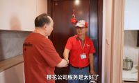 我与樱花的故事 | 一场跨越时光的居家温柔守护