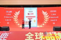 大角鹿瓷砖全球热销！技术、制造、运营“三箭齐发”加速海外布局