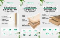 春天集团七大核心优势，以差异化竞争力制胜整家市场