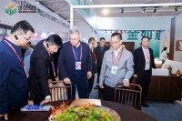 2026中国·清丰全屋家具及供应链展览会盛大开幕
