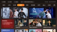 《成化十四年》有多好看 当贝影视看剧指南