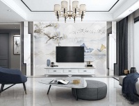 六款经典的漂亮电视背景墙 有你喜欢的一款么