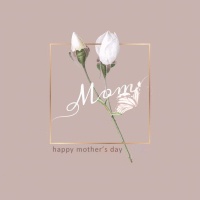 JCC天洋墙布带着心动的母亲节礼物来了，你接收到了吗？