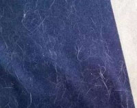 宠物换毛季不烦躁 美的吸尘器助你摆脱“毛”躁