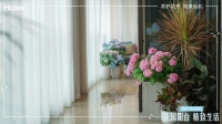 一天能把阳台变花园？不吹！海尔洗衣机超级云众播带你看