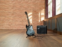 瑞士卢森地板：数据证实力，实力见品质