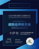 上市就获"先锋奖"?卡萨帝:我做的还不够,后面还有大招