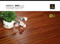 大卫地板圆盘豆丨来自非洲的铁血硬汉