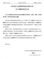 扬子新材董事胡卫林因个人原因辞职