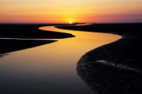 #爱康20年#保利珑管即将发布