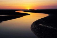 国潮当道，保利珑管即将上市