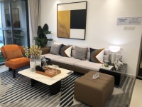 迟来的转型能否拯救濒临退市的*ST亚振？