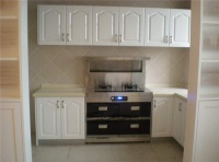 全国集成灶前十名有哪些 看看你家集成灶在里面吗