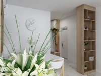 海尔全屋家居灵感库：90后夫妻的北欧风新家 风景无限