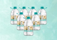 洞庭山启动多品牌战略 破局长三角“百水之战”