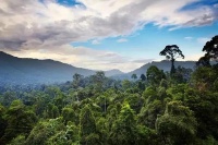 听我娓娓道来！你不知道的进口家具板