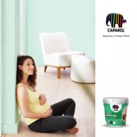 点赞！7款德爱威乳胶漆喜提德国莱茵TÜV认证证书