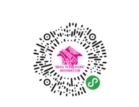 参加2020上海墙纸展 领取GOPRO相机