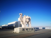 你不知道的茶卡——天空壹号