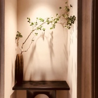 2020「酷+创造营」先锋设计师选拔-杨亚强-《素雅》