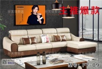 芙瑞斯达品牌时尚沙发，中国家居行业十大品牌，整体家具，私人订制