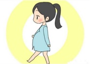 孕妇不能吃的食物有哪些 以下食物孕妈妈要谨慎