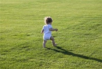 16个月宝宝发育指标 16个月宝宝会哪些技能