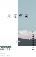 大道恒美品牌管理的「大品牌战略」体系及运用