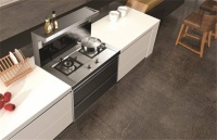 集成灶企业上市潮背后：市场扩大 产能激增 系统建设落后