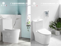 二十六年磨一剑 砺得梅花香