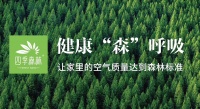 四季森林，让森林空气四季在家