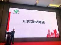 人造板工业发展研讨会丨佰世达发布无醛中密度板专题报告