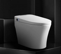 TONA国际卫浴：马桶的前世今生 安排：新浪网家居主站