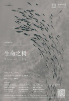 展讯 | 10月31日 “生命之树”国际摄影展即将登陆上海