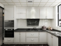 微蒸烤一体机，给你好味道