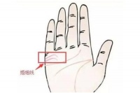 婚姻线是哪一条 如何看手相婚姻线