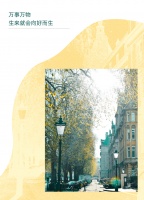 不做拼拼族，慕思国际双11优惠直降到底