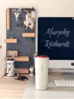 办公室好物推荐：摩飞轻养杯5分钟出热水 暖心一整天！