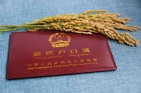 如何申请独立户口本  凭身份证能打户口本吗