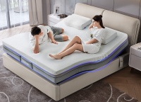 智能科技营造舒适睡眠 芝华仕智能床成双十一爆款