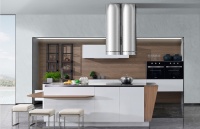 不锈钢家居保持强劲趋势，中国不锈钢橱柜十大品牌崭露头角！