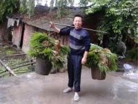 京东家电专卖店店主：从草根素人到直播带货达人的真实蜕变