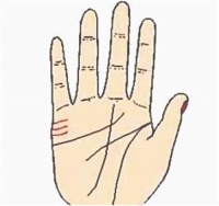 如何看婚姻线 看看你是哪一个