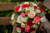 闺蜜结婚送什么花 朋友结婚送花几朵合适