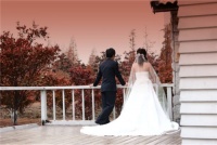 97本命年结婚好吗 97年属牛适合多大结婚